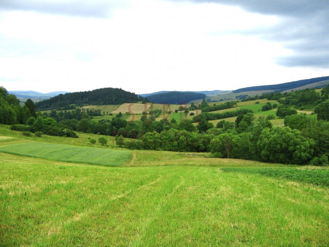 Działka Sprzedaż Kulaszne Kulaszne/Bieszczady/działka widokowa 3
