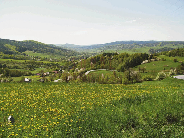 Działka Sprzedaż Komańcza Bieszczady/siedlisko/gmina Komańcza 3