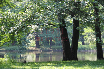 Mieszkanie Sprzedaż Warszawa Mokotów Podchorążych / z widokiem na Łazienki Królewskie / taras / apartament